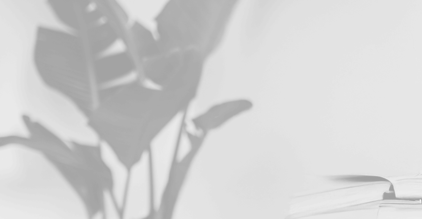 Blurry background image of a houseplant.